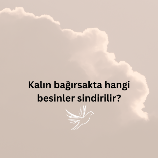 Kalın bağırsakta hangi besinler sindirilir? 1