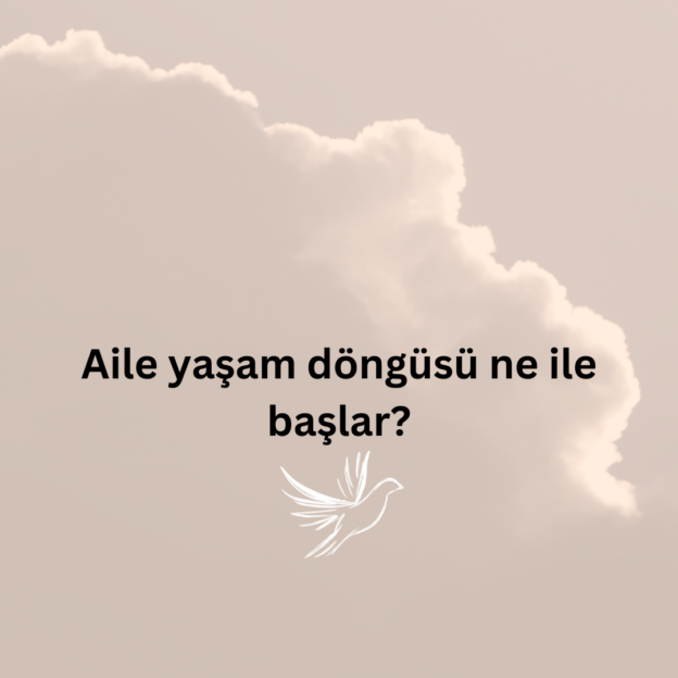 Aile yaşam döngüsü ne ile başlar? 1