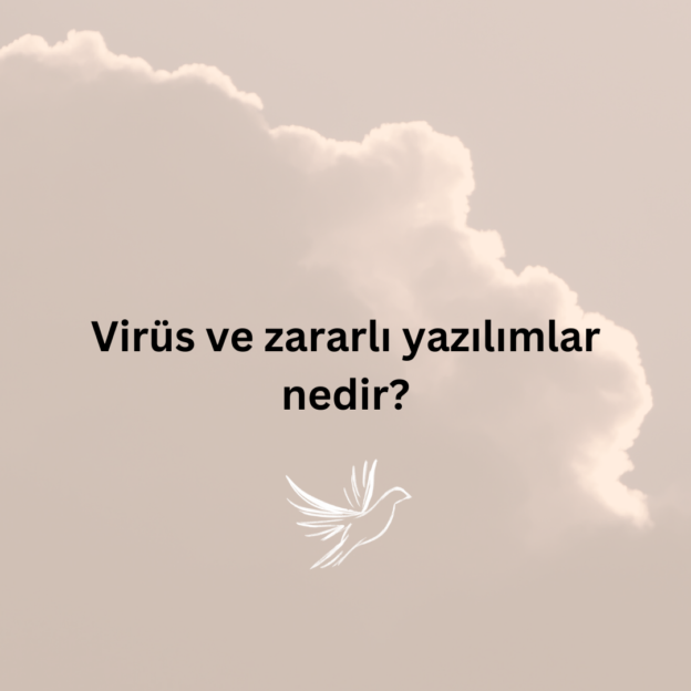 Virüs ve zararlı yazılımlar nedir? 1