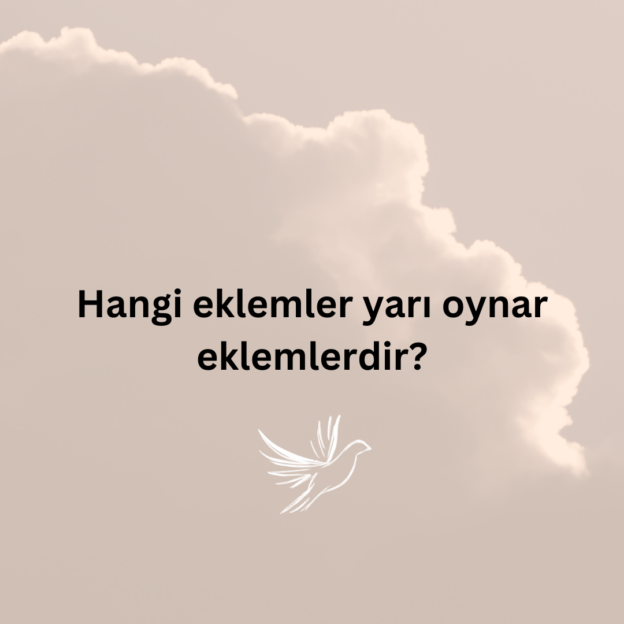 Hangi eklemler yarı oynar eklemlerdir? 1