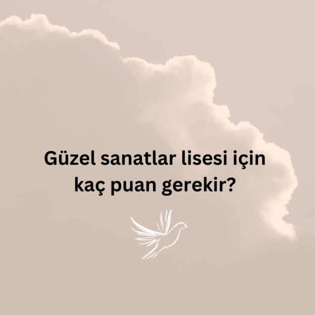 Güzel sanatlar lisesi için kaç puan gerekir? 1