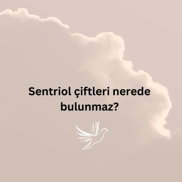 Sentriol çiftleri nerede bulunmaz? 1