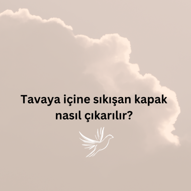 Tavaya içine sıkışan kapak nasıl çıkarılır? 1