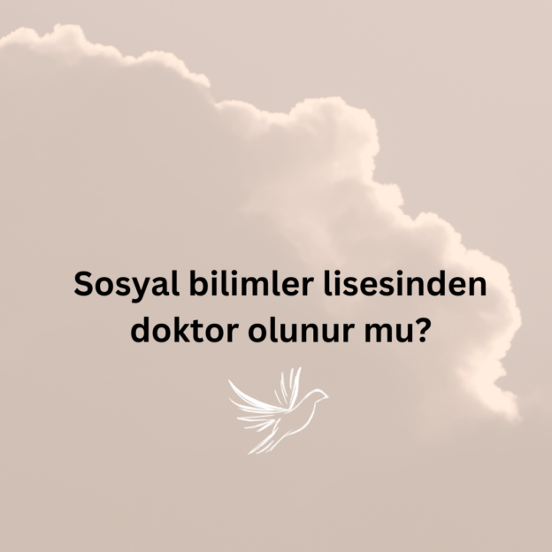 Sosyal bilimler lisesinden doktor olunur mu? 1