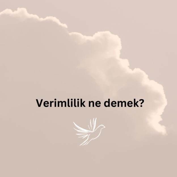 Verimlilik ne demek? 1