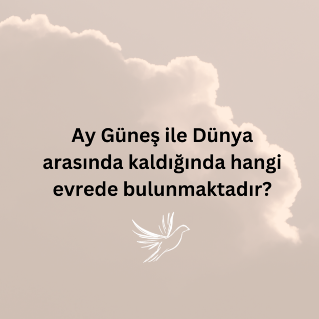 Ay Güneş ile Dünya arasında kaldığında hangi evrede bulunmaktadır? 1