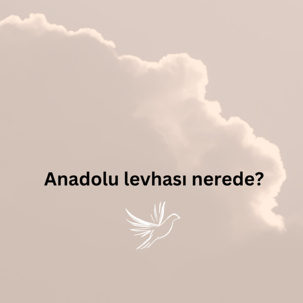 Anadolu levhası nerede? 1