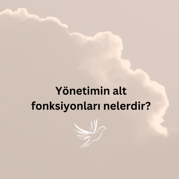 Yönetimin alt fonksiyonları nelerdir? 1