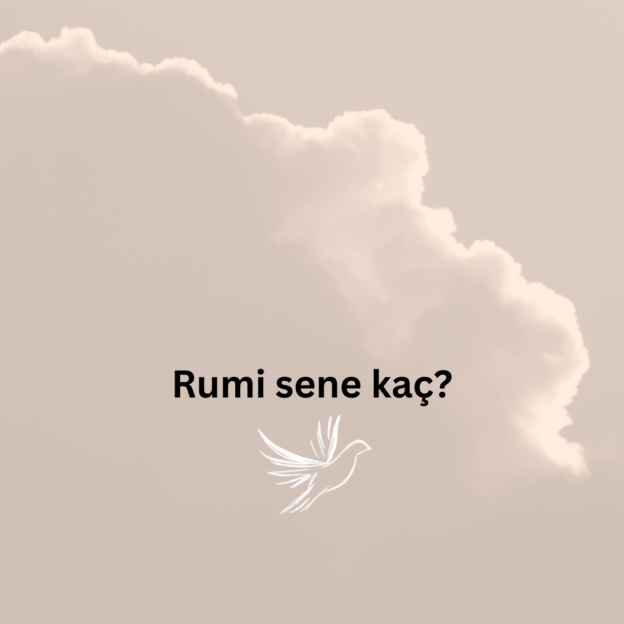 Rumi sene kaç? 1