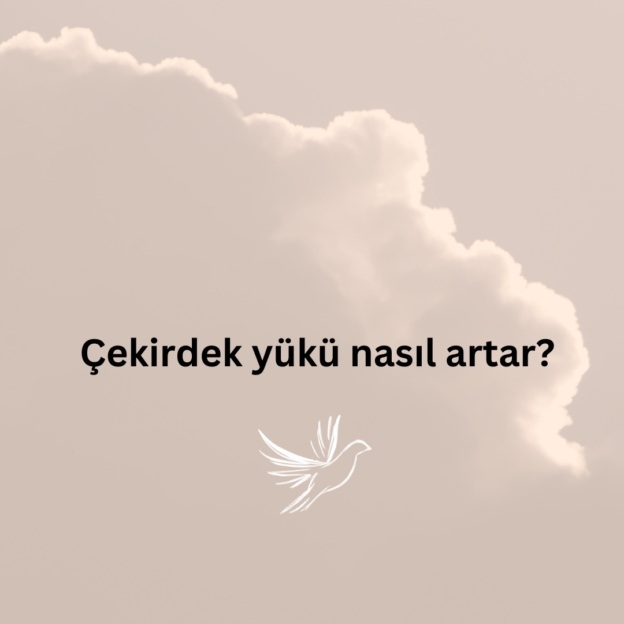 Çekirdek yükü nasıl artar? 1