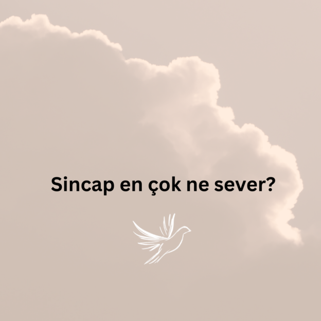 Sincap en çok ne sever? 1