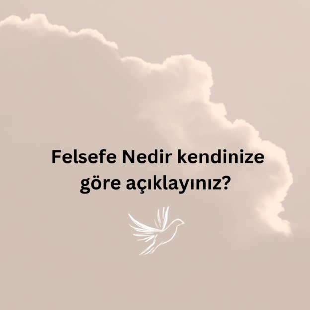 Felsefe Nedir kendinize göre açıklayınız? 1