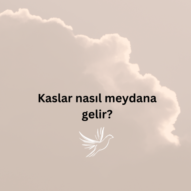 Kaslar nasıl meydana gelir? 1