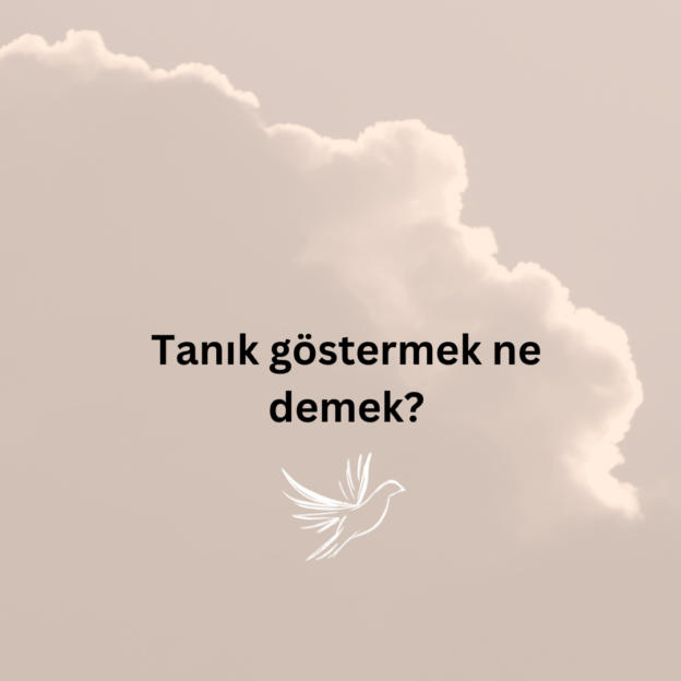 Tanık göstermek ne demek? 1