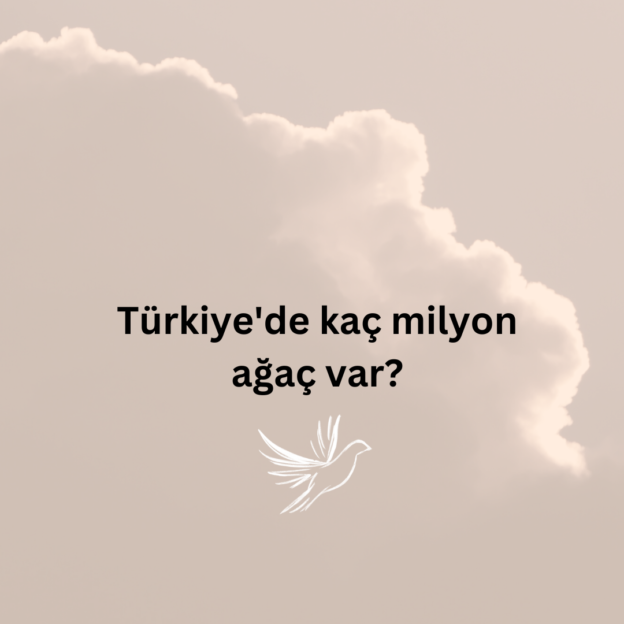 Türkiye'de kaç milyon ağaç var? 1