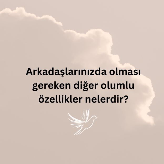 Arkadaşlarınızda olması gereken diğer olumlu özellikler nelerdir? 1