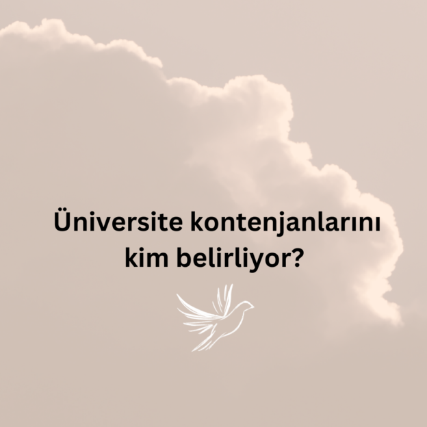 Üniversite kontenjanlarını kim belirliyor? 1