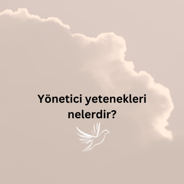 Yönetici yetenekleri nelerdir? 1