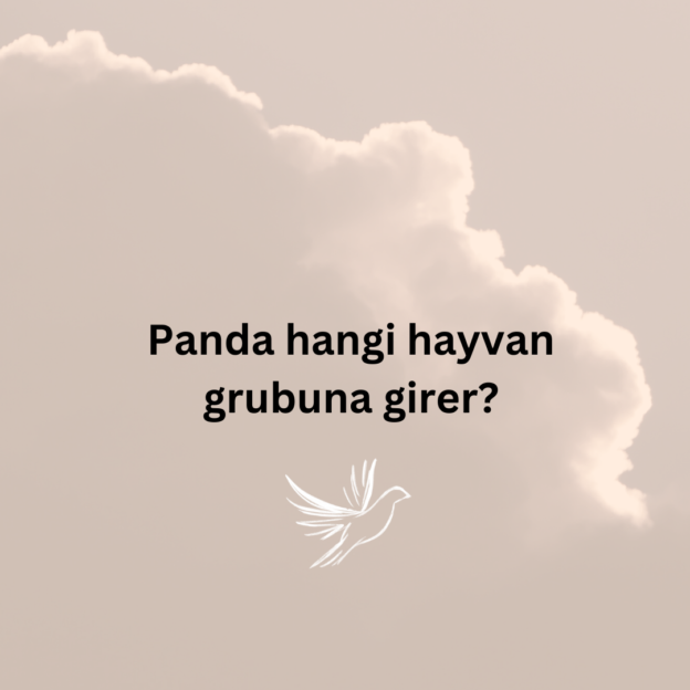 Panda hangi hayvan grubuna girer? 1