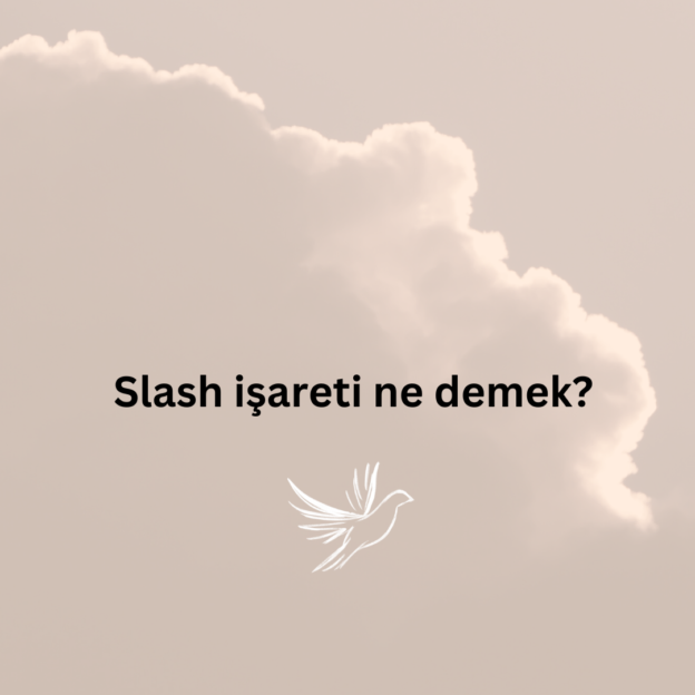 Slash işareti ne demek? 1