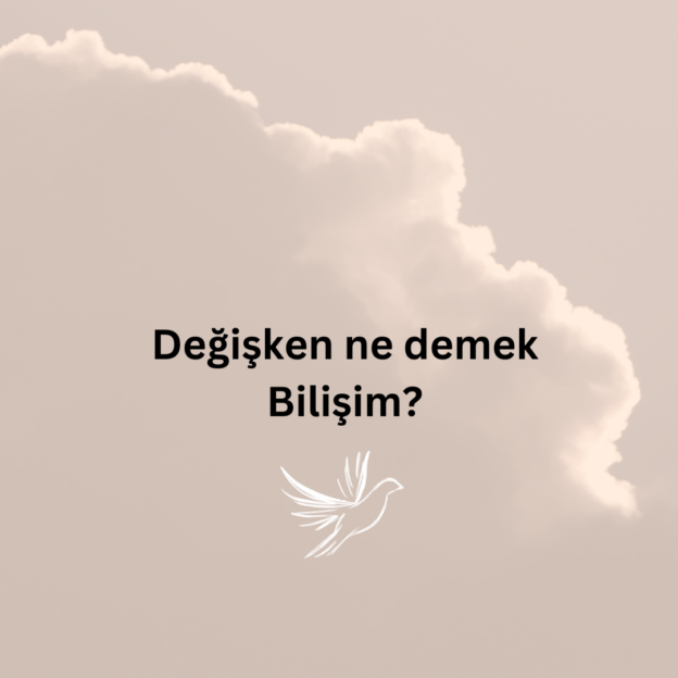 Değişken ne demek Bilişim? 1