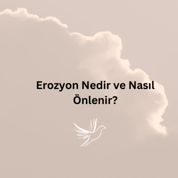 Erozyon Nedir ve Nasıl Önlenir? 1