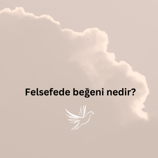 Felsefede beğeni nedir? 1