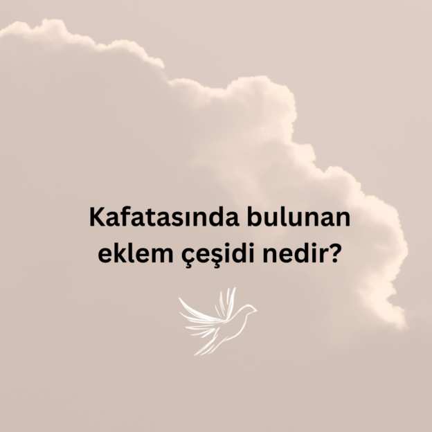 Kafatasında bulunan eklem çeşidi nedir? 1