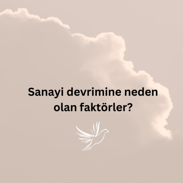 Sanayi devrimine neden olan faktörler? 1