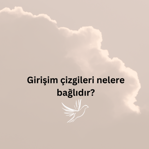 Girişim çizgileri nelere bağlıdır? 1