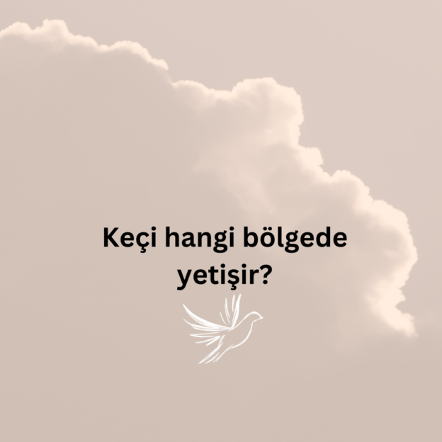 Keçi hangi bölgede yetişir? 1