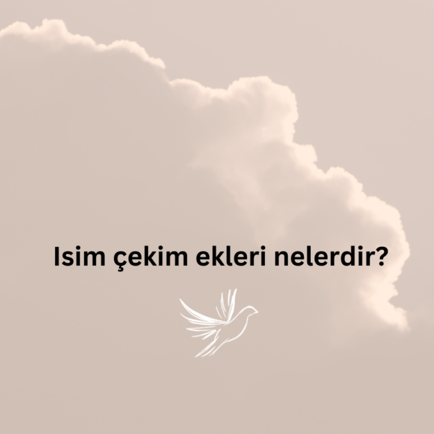 Isim çekim ekleri nelerdir? 1