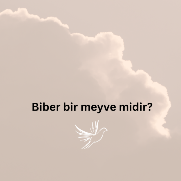 Biber bir meyve midir? 1