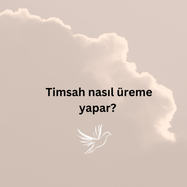 Timsah nasıl üreme yapar? 1