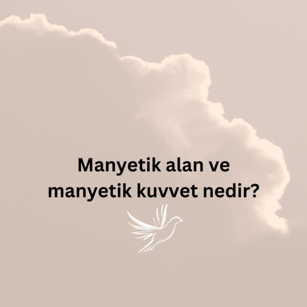 Manyetik alan ve manyetik kuvvet nedir? 1