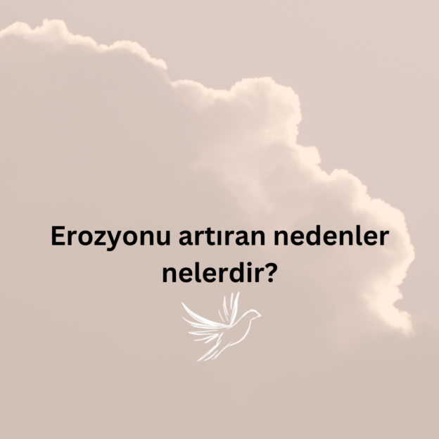 Erozyonu artıran nedenler nelerdir? 1