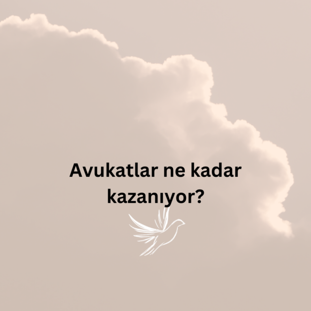 Avukatlar ne kadar kazanıyor? 1