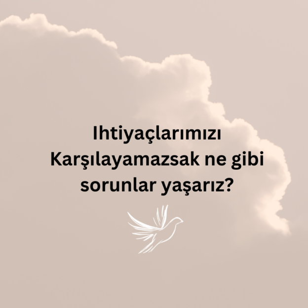 Ihtiyaçlarımızı Karşılayamazsak ne gibi sorunlar yaşarız? 1