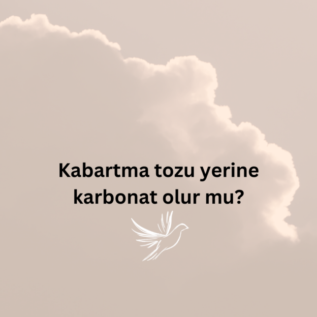 Kabartma tozu yerine karbonat olur mu? 1