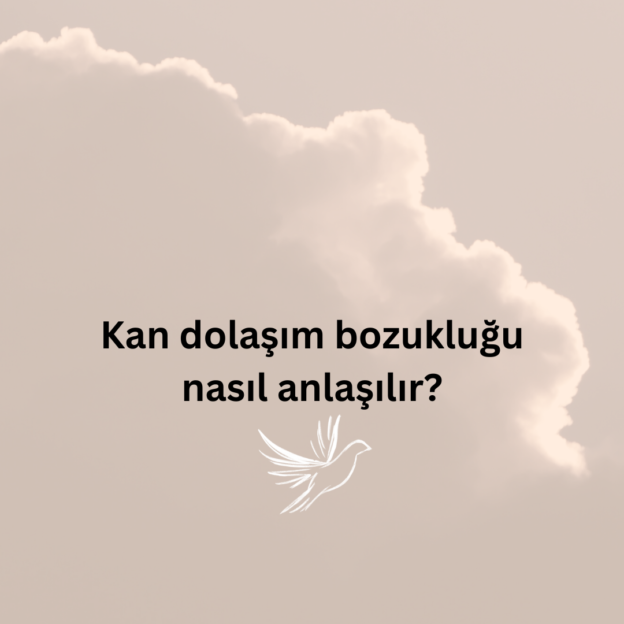 Kan dolaşım bozukluğu nasıl anlaşılır? 1