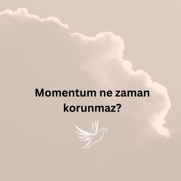 Momentum ne zaman korunmaz? 1