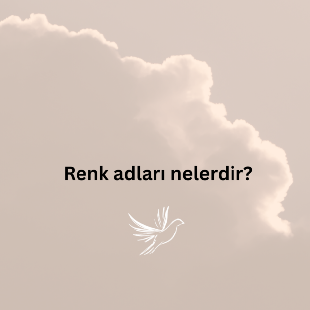 Renk adları nelerdir? 1