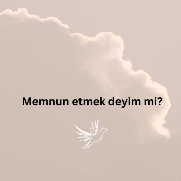 Memnun etmek deyim mi? 1