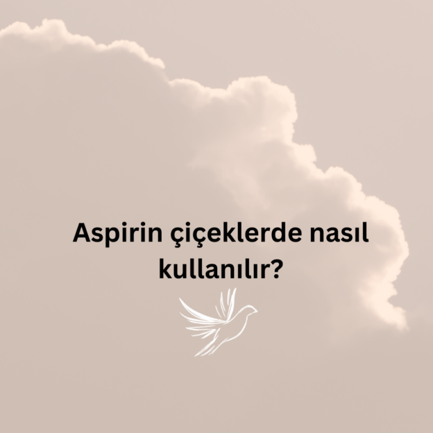 Aspirin çiçeklerde nasıl kullanılır? 1