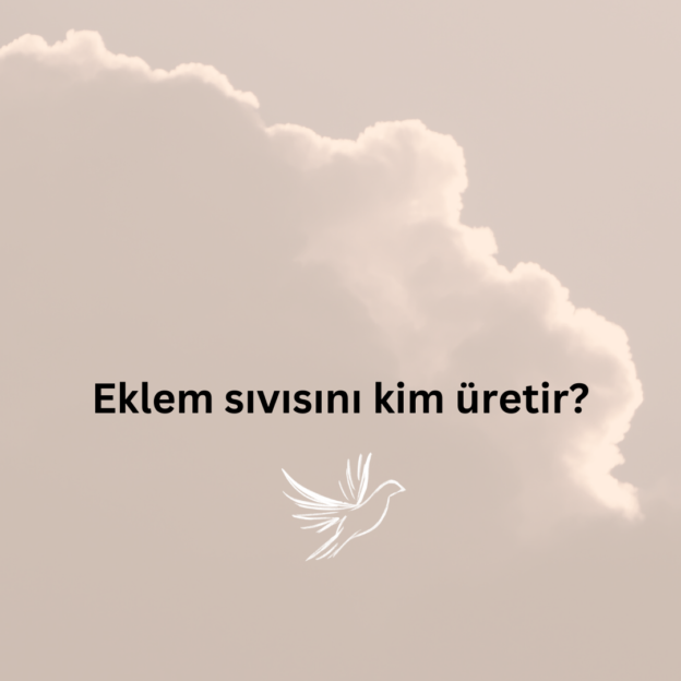 Eklem sıvısını kim üretir? 1