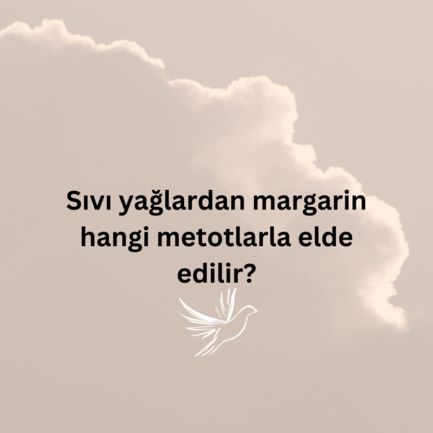 Sıvı yağlardan margarin hangi metotlarla elde edilir? 1