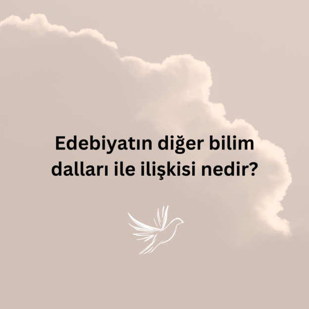 Edebiyatın diğer bilim dalları ile ilişkisi nedir? 1