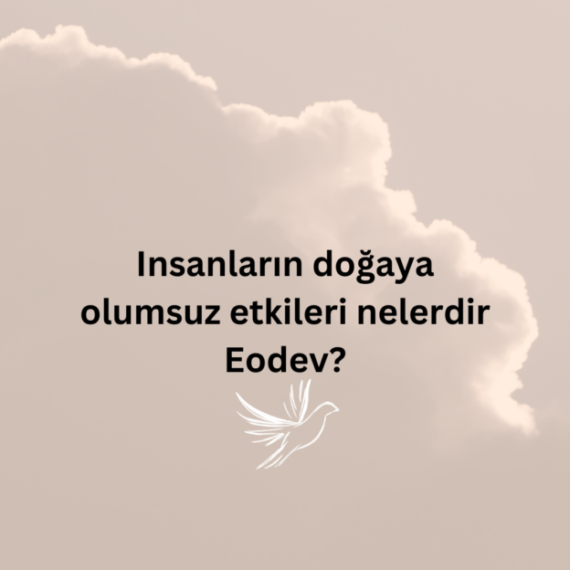 Insanların doğaya olumsuz etkileri nelerdir Eodev? 1