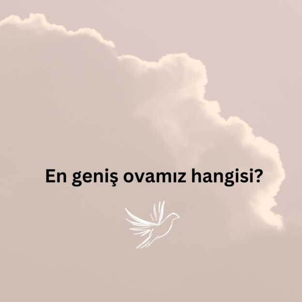 En geniş ovamız hangisi? 1