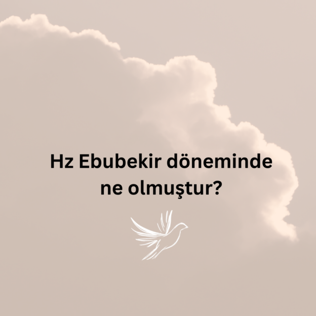 Hz Ebubekir döneminde ne olmuştur? 1